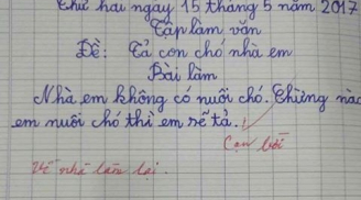 Bài văn tả con chó 'bá đạo': Học sinh cạn ý, cô giáo… cạn lời