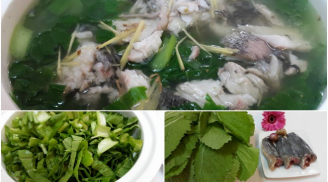 Cách nấu canh bánh đa cá rô rau cải không bị tanh