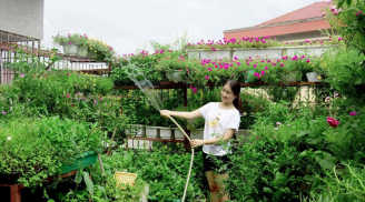 Chỉ cần 1 triệu đồng, gia đình bạn đã có vườn rau siêu sạch trên sân thượng