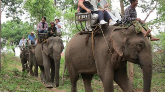 Những địa điểm lý tưởng đi chơi lễ 30/4 và 1/5 ở Tây Nguyên