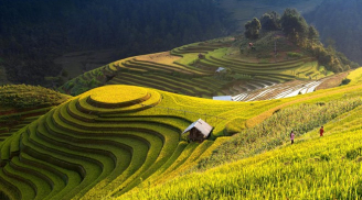 Những địa điểm lý tưởng đi chơi lễ 30/4 và 1/5 ở Yên Bái