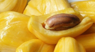 Bị những bệnh này đừng tốn tiền mua thuốc tây dùng hạt mít tốt và nhanh khỏi hơn