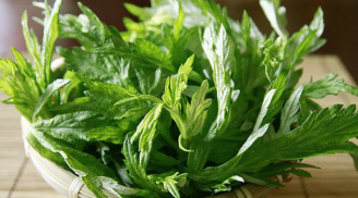 Bài thuốc trị đau lưng đơn giản mà hiệu quả vô cùng với nguyên liệu chỉ vài nghìn đồng