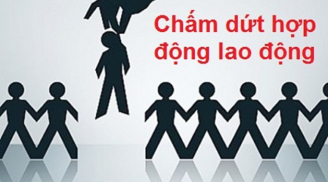 Quyết định chấm dứt hợp đồng lao động