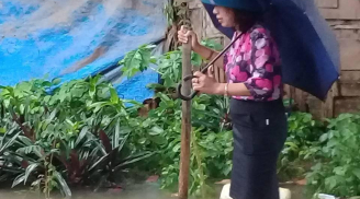 Bức ảnh cán bộ phường mặc váy, đứng trên bè cho dân kéo 'đi thị sát lũ' và sự thật nhiều người chưa biết