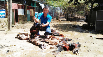 TP Hồ Chí Minh: Rò rỉ khí Amoniac, 4 người nhập viện, hơn 1.000 học sinh phải sơ tán