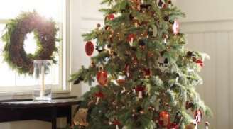 Noel 2018: Cách làm cây thông noel bằng những vật liệu đơn giản, đẹp cho gia đình