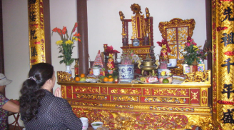 Mua ngay hoa này để đặt trên ban thờ tài lộc, may mắn ùn ùn kéo đến trong năm mới