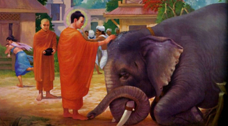 TƯƠNG LAI NỞ RỘ, TÌNH TIỀN NHƯ Ý bỗng vụt tắt bởi mắc phải một trong ba tội tày đình này!