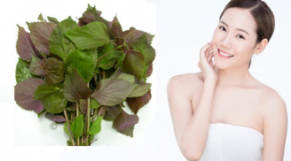 Bí quyết đắp mặt nạ bằng lá tía tô cho làn da mịn màng