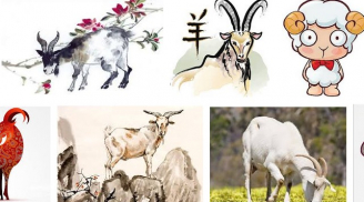Xem tử vi tháng 6/2018 của người tuổi Mùi