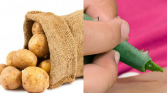 9 mẹo đơn giản làm giảm sưng tấy do muỗi đốt hiệu quả nhất