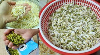 Cách làm giá đỗ bằng rổ đơn giản không ngờ chị em nhất định phải biết
