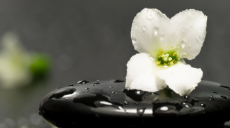 Đức mỏng mà ngôi cao, công nhỏ mà hưởng nhiều chính là mầm tai họa của nhân sinh