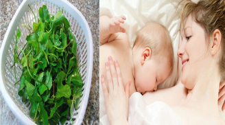 Những loại thực phẩm gọi sữa mẹ về ào ạt sau sinh
