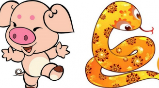 Tử vi chủ nhật ngày 22/7/2018 của 12 con giáp: tuổi Hợi mọi việc hanh thông nhưng tuổi Tỵ sẽ gặp trở ngại