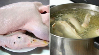 Làm cách này bạn sẽ khử được hoàn toàn mùi hôi và có món thịt vịt luộc ngon tuyệt đối