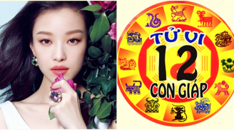 Tử vi thứ 3 ngày 28/8/2018 của 12 con giáp: tuổi Tý thuận buồm xuôi gió, tuổi Mùi tiểu nhân rình rập hãm hại
