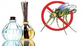 Không cần mua thuốc diệt, áp dụng ngay 7 cách rẻ tiền để đuổi 'tất tần tật' côn trùng có hại ra khỏi nhà