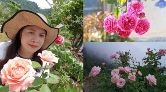 Say đắm với 'ngôi nhà hoa hồng' trên triền núi đẹp như xứ sở thần tiên của cô giáo ở Cao Bằng