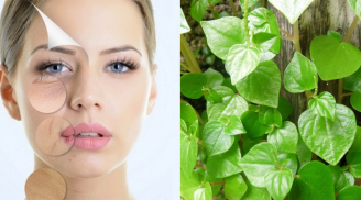 Loại rau nhiều người tưởng rau dại đem nhổ bỏ, lại có giá bán đắt hơn thịt và công dụng thần kỳ thế này!
