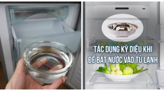 Để bát nước trong tủ lạnh chỉ sau 1 đêm ngủ dậy bạn sẽ thấy được điều vô cùng bất ngờ