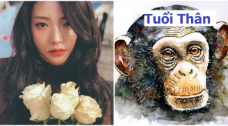 5 con giáp gặp được vận may, tài lộc ùn ùn kéo đến gõ cửa trong tháng 9 này
