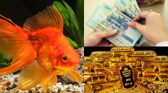 8 giấc mơ báo hiệu vận son được quý nhân phù trợ nên tiền vào như nước, làm việc gì cũng hanh thông