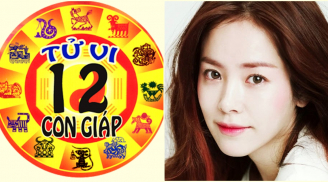 Tử vi thứ 2 ngày 15/10/2018 của 12 con giáp: tuổi Dậu chuyện làm ăn thuận lợi, tuổi Sửu lao đao về tiền bạc