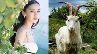 3 nàng giáp tình duyên viên mãn, sự nghiệp thăng hoa, tài lộc nhiều không kể xiết trong năm 2019