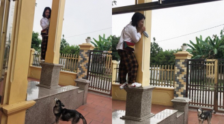 Cười 'hụt hơi' trước hình ảnh cô gái ôm chặt cột nhà vì... sợ chó