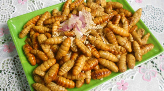 Ăn nhộng tằm nhất định phải biết điều này để có được món THẦN DƯỢC VẠN NĂNG