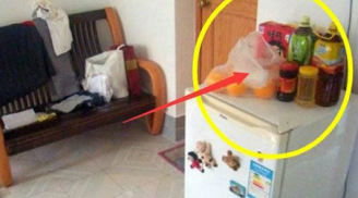 Cứ để thứ này trên tủ lạnh đừng hỏi vì sao TIỀN CỦA ĐỘI NÓN RA ĐI, 3 đời sau cũng không giàu nổi