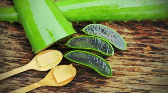 Cảnh báo: Sử dụng nha đam không đúng cách dễ biến thành 'thuốc độc'
