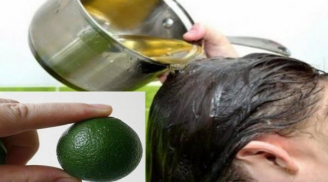 Trời mưa rét, lũ gàu cứng đầu đến mấy cũng bị đánh bay nhờ thứ nguyên liệu rẻ bèo này!