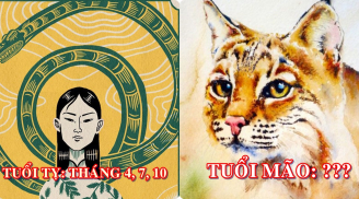 Đây là THÁNG PHÁT TÀI của Mão, Thìn, Tỵ năm 2019, chú ý tận dụng để tài lộc thăng hoa, đổi đời ngoạn mục