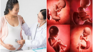 4 MỐC mẹ bầu buộc phải đi siêu âm để phát hiện 7 DỊ TẬT nghiêm trọng, mốc 1 nhiều người thường bỏ quên