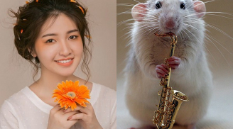Gọi tên 3 con giáp 'tài lộc đề huề' nhất năm 2019, xoay chuyển cục diện, biến họa thành phúc, tiền tài vô kể