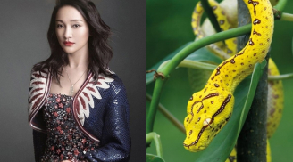 Đúng vào tháng 4/2019: 3 con giáp này ngồi chơi lộc cũng RƠI TRÚNG ĐẦU, chớp mắt có tiền tỷ trong tay