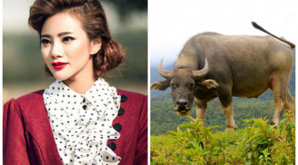 Top 4 con giáp TÍNH NÓNG HƠN LỬA, nổi giận là trở mặt ngay, chớ dại gì mà chọc tức họ