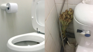 Bỏ vài củ sả trong nhà vệ sinh, sau 1 tuần bạn sẽ thấy điều 'kỳ diệu' xảy ra