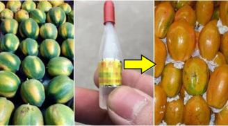 Người bán hoa quả không bao giờ để LỘ bí mật: Nhìn vào 1 điểm này là TRÚNG ngay quả vừa ngon vừa 'sạch'