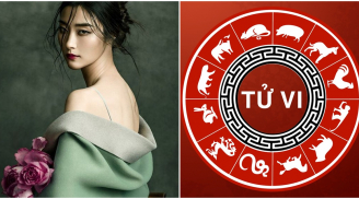Tử vi thứ năm ngày 4/4/2019 của 12 con giáp: Tuổi Hợi vận trình khởi sắc, tuổi Tý dễ đụng phải tiểu nhân