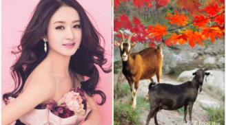 3 con giáp RƯỚC MAY VỀ NHÀ, từ tháng 4 âm vạn sự như ý, thăng tiến không phanh, tiền nhiều vô kể