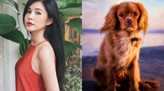 Cuối tuần này: 3 con giáp được Thần tài mang lộc đến tận cửa, ngập trong biển tiền, giàu sang chói lọi
