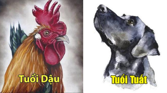Tử vi thứ tư ngày 8/5/2019 của 12 con giáp: Tuổi Tuất được quý nhân phù trợ, tuổi Dậu tài lộc hanh thông