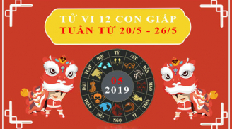 Dự báo tử vi tuần mới (từ 20/5- 26/5/2019) của 12 con giáp: Dậu vận tài lộc khởi sắc, Sửu cẩn thận thị phi