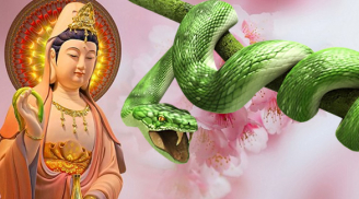 Tháng 7/2019: 3 con giáp giàu ú ụ, một bước thành đại gia khét tiếng, của cải tiêu 3 đời không hết