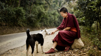 Phật dạy: Trên đời, con người nếu cho đi 3 thứ đơn giản này, sẽ trọn vẹn công đức, hậu vận rực sáng