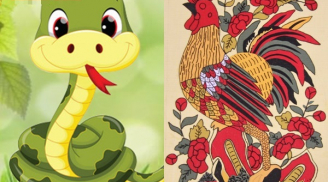 Tử vi 12 con giáp thứ ba ngày 29/10/2019: Tỵ vận trình sự nghiệp vượng phát, Dậu vận tiểu nhân đeo bám